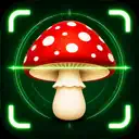 Mushroom ID
